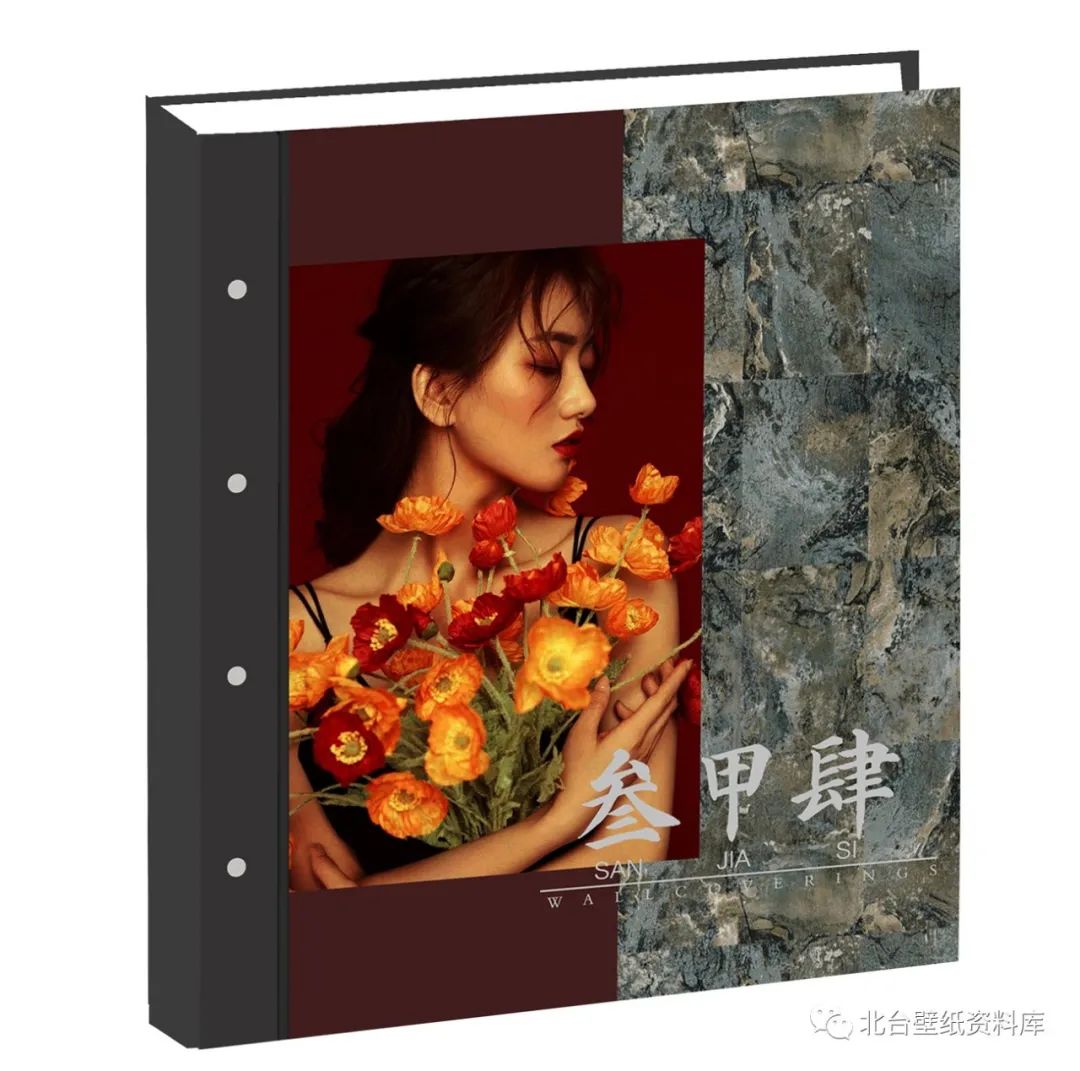 外貿(mào)精品系列—《三甲4》